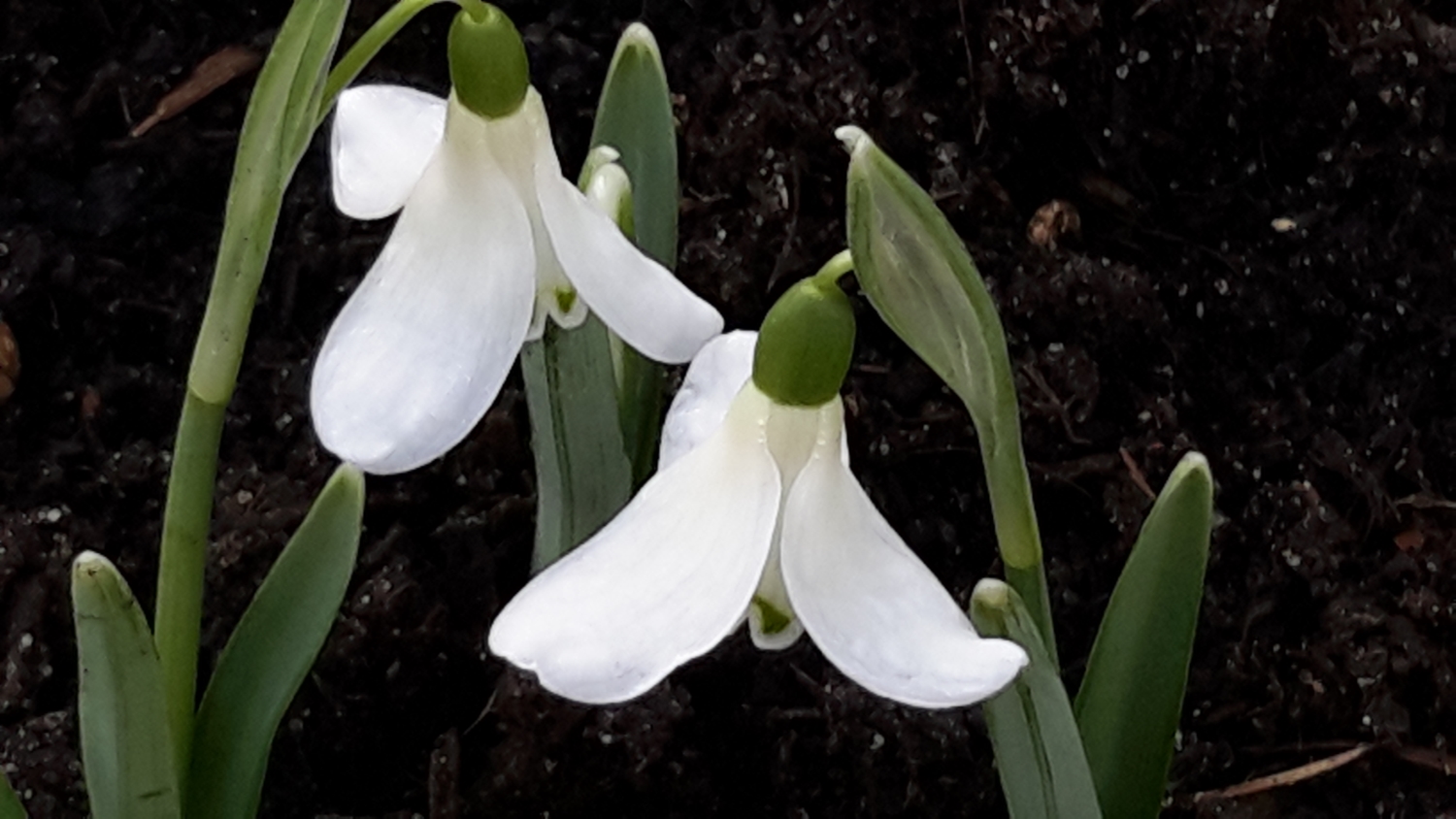 Hedgehog Hall, Tilton on the Hill, Leicestershire, LE7 9DE National